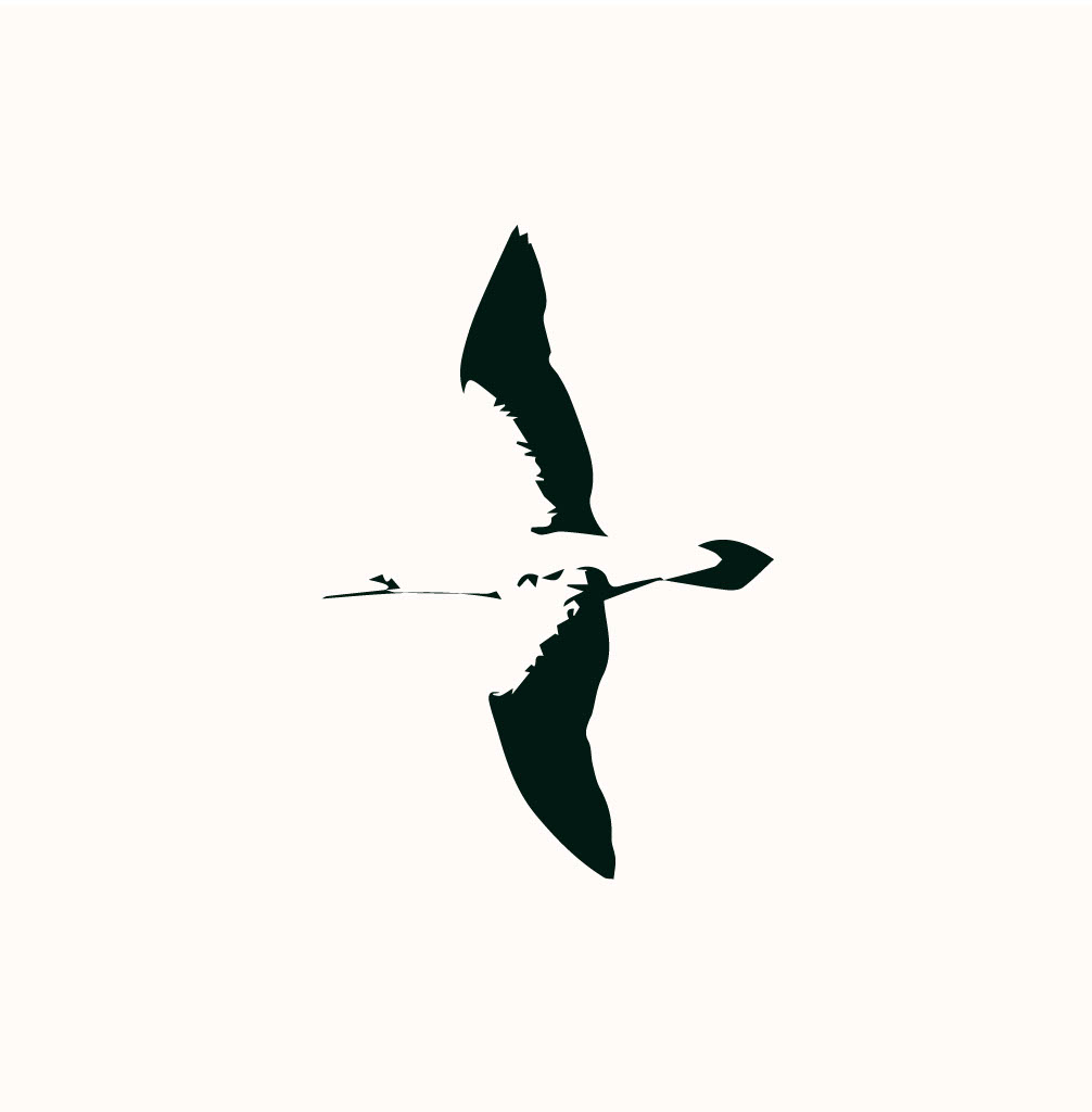1764188618838 bc8f663c f397 43d1 8d96 511ebe2fc566 1